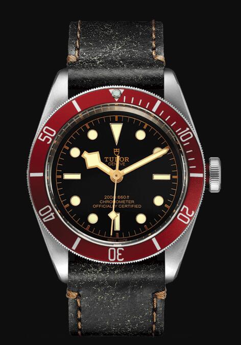 Tudor BLACK BAY M79230R-0011 Replica Watch